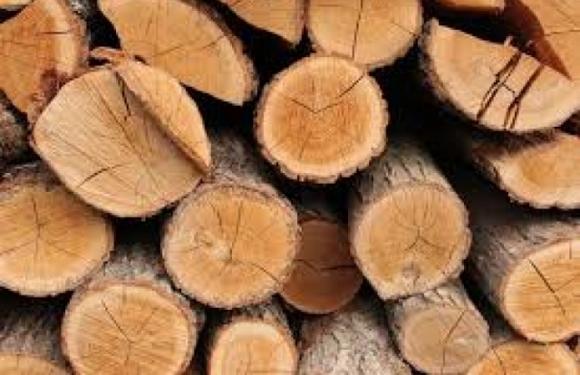 La madera y sus propiedades
